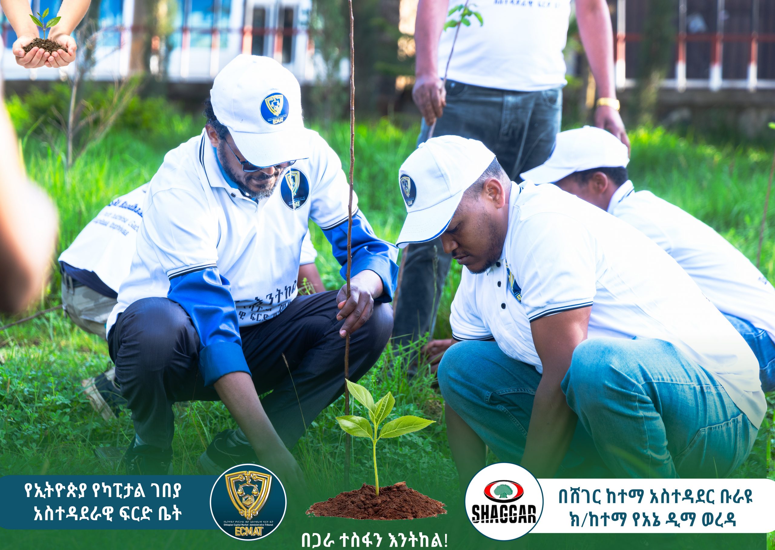 ECMAT Plants Over 300 Apple Tree Seedlings in Burayu Sub-City